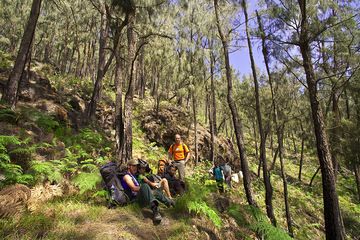 The team in the forest of Arjuna volcano (Photo: Tobias Schorr)