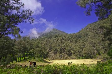 A crater and the Arjuna volcano in background (Photo: Tobias Schorr)