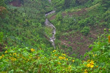 Tropical valley at the Tengger caldera (Photo: Tobias Schorr)