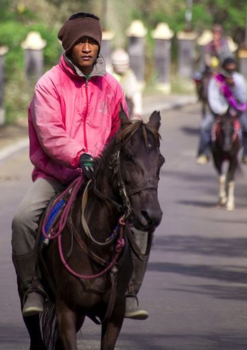Horse rider at the Tengger caldera (Photo: Tobias Schorr)