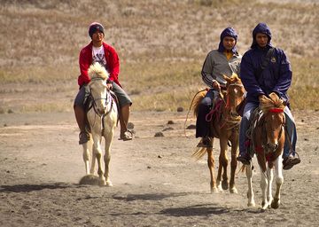 Horse riders at the Tengger caldera (Photo: Tobias Schorr)