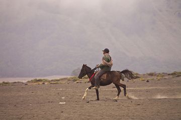 Horse rider in the Tengger caldera (Photo: Tobias Schorr)