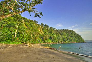 The beach on Rakata island near the volcano Anak Krakatau (Photo: Tobias Schorr)