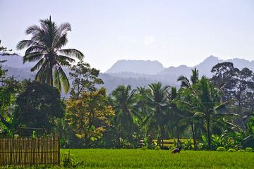 Javanese landscape around Carita (Photo: Tobias Schorr)