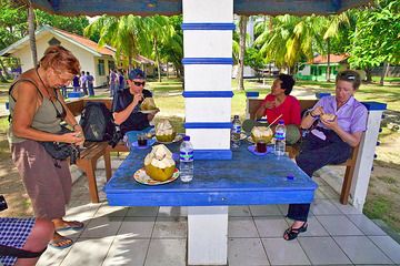 The VolcanoDiscovery group enjoying fresh coconut juice (Photo: Tobias Schorr)
