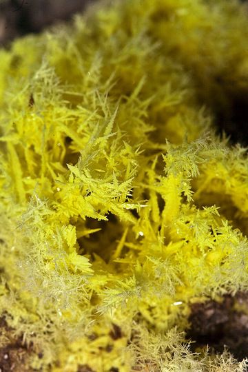 Schwefelkristalle in einer Fumarole des Papadayan Vulkans (Photo: Tobias Schorr)