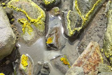 Schwefelablagerungen im säurehaltigen Bach, der aus dem Krater des Vulkans Papadayan fließt. (Photo: Tobias Schorr)