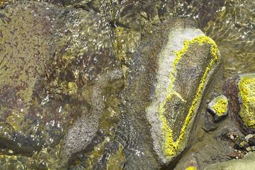 Sulphur deposits in the creek that flows out of the crater of the Papadayan volcano (Photo: Tobias Schorr)