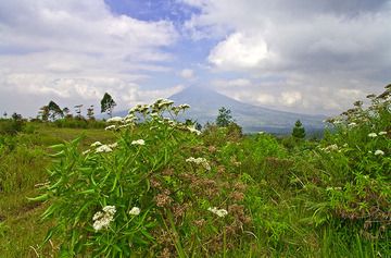 Vista hacia el volcán extinto Cikuray (Photo: Tobias Schorr)