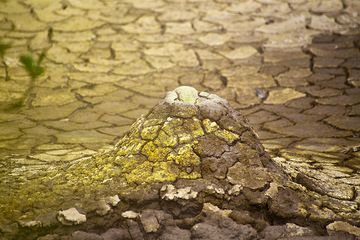 Little mud cone inside a boiling mud pond at Cipanas (Photo: Tobias Schorr)