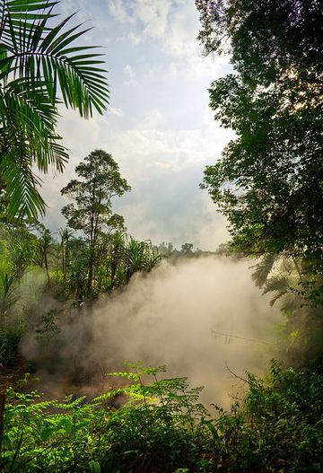Tropical forest and the boiling mud pools at Cipanas (Photo: Tobias Schorr)