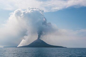 A lava flow enters the sea from Anak Krakatau on 19 Nov 2018, producing a tall steam plume. Near-continuous explosions occur at the summit vent, generating an ash plume. (Photo: Tom Pfeiffer)