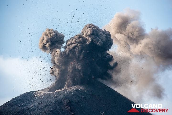 Ash eruption on 20 Nov afternoon. (Photo: Tom Pfeiffer)