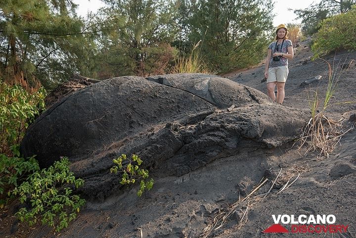 Another old lava bomb that merits a textbook entry, resembling a giant turtle. (Photo: Tom Pfeiffer)