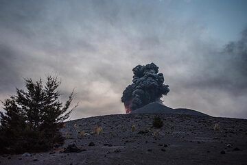 A mild strombolian eruption seen from the end of the forest on Anak Krakatau (13 Oct) (Photo: Tom Pfeiffer)