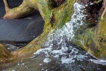 Arrivée d'une petite vague. (Photo: Tom Pfeiffer)