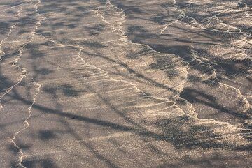 Shadows on the sand (Photo: Tom Pfeiffer)