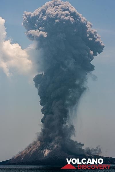 Ash plume rising approx. 3 km above Anak Krakatau. (Photo: Tom Pfeiffer)