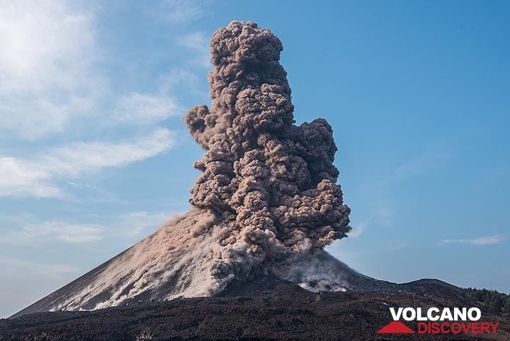 An impressive ash plume gradually rises to several hundred meters, to reach 2-3 km. (Photo: Tom Pfeiffer)