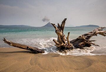 Sand, wave and a large old tree root star in front of our campsite (Photo: Tom Pfeiffer)