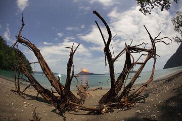 krakatau_i1472.jpg (Photo: Tom Pfeiffer)