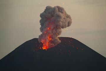 Cendres et bombes incandescentes d'une éruption modérée. (Photo: Tom Pfeiffer)