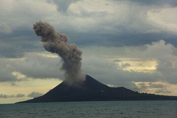 Une eruption vulcanienne a produit un gros panache de cendre. Celles éruption, bien différentes de l'activité strombolienne typique, étaient souvent accompagnées par un fort bruit de tonnerre, et suivaient en série de 3-5 évènements un après l'autre en intervaux de 5-10 minutes. Cette activité se produisait environ chaque 6-10 heures pendant le temps de notre observation pendant 4-8 juin 2009. (Photo: Tom Pfeiffer)
