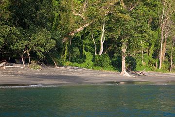 Strand von Rakata mit unserem Camp (Photo: Tom Pfeiffer)