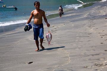 ¡La cena está en camino! (Photo: Tom Pfeiffer)