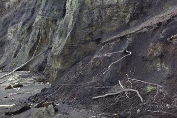 Ash deposits from Surtseyan and strombolian activity in the first decades of Anak Krakatau's life (1920s) are exposed and constantly being eroded on the south coast. (Photo: Tom Pfeiffer)