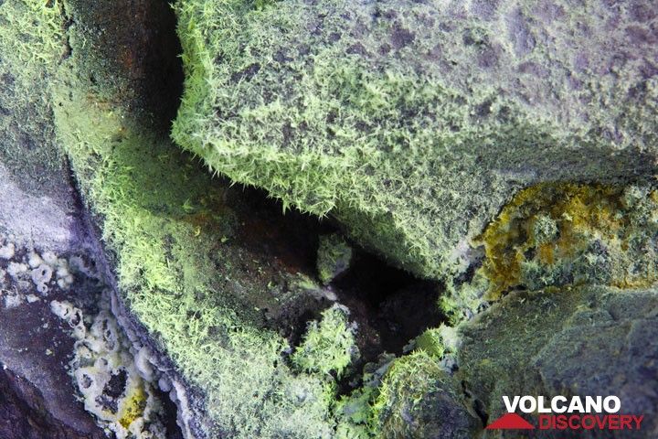 Beautiful monoclinic sulfur needles form around some of the hotter fumarolic vents. (Photo: Tom Pfeiffer)