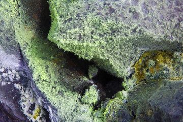 Beautiful monoclinic sulfur needles form around some of the hotter fumarolic vents. (Photo: Tom Pfeiffer)