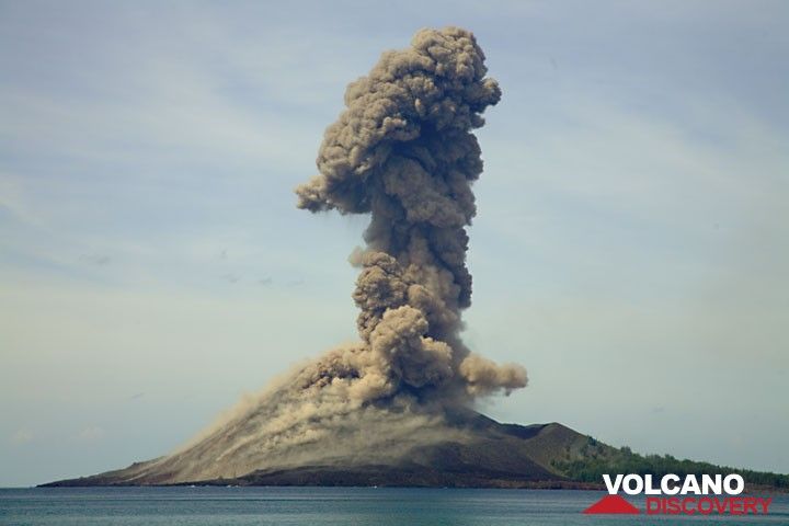 Eruption plume rising vertically to about 1 km height. (23.11. around noon) (Photo: Tom Pfeiffer)