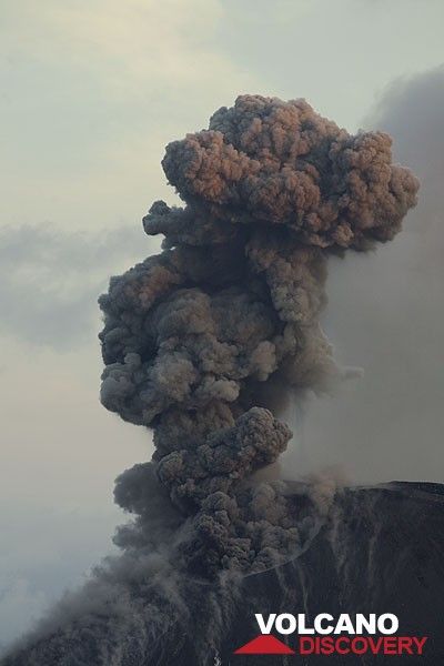 Eruption plume in the morning light. (Photo: Tom Pfeiffer)