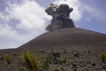 krakatau_e32534.jpg (Photo: Tom Pfeiffer)