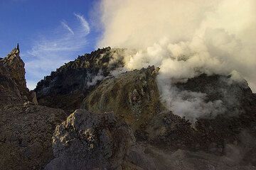 The active lava dome of Merapi volcano in the morning. (Photo: Tom Pfeiffer)