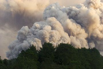 Облака пепла, поднимающиеся от пирокластического потока. (Photo: Tom Pfeiffer)