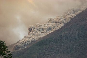 Eine Glutwolke rast den SO Hang des Merapi hinab. In der Gegend, wo dieser und andere Ströme herabfließen, ist der dichte Wald, der die steilen Hänge des Merapi bedeckte, völlig zerstört und vernichtet. (Photo: Tom Pfeiffer)