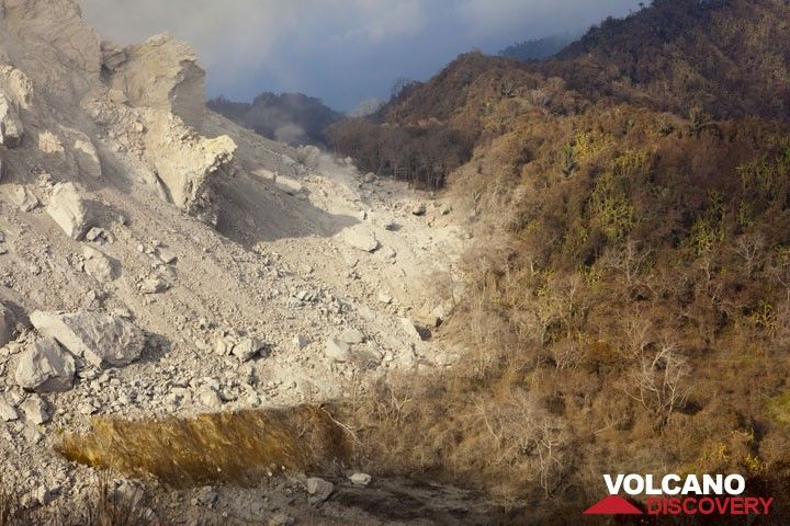 The limit of pyroclastic deposits at the southern base of the dome is marked by a narrow area of partly burned and ash covered vegetation. On some occasions, we could see blocks that had fallen from the dome ignite some wood in this area. (Photo: Tom Pfeiffer)
