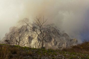 Viele Bäume (auf angrenzenden Hügeln = ältere Lavadome) haben unter der Dürre stärker gelitten als unter leichtem Aschefall, die Regenzeit steht noch bevor. (Photo: Tom Pfeiffer)