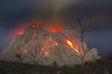 Naked trees silhouetted against the active lava dome of Paluweh volcano (Flores Sea, Indonesia) on 1 Dec 2012. (Photo: Tom Pfeiffer)