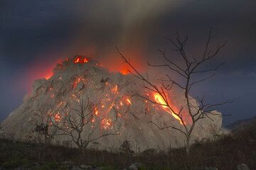 Голые деревья вырисовывались на фоне активного купола лавы вулкана Paluweh (моря Флорес, Индонезия) на 1 декабря 2012. (Photo: Tom Pfeiffer)