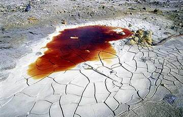 Dark-red water pond (Photo: Tom Pfeiffer)