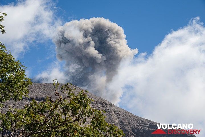 As we continue to climb, Raung continues to greet us with ash puffs. (Photo: Tom Pfeiffer)