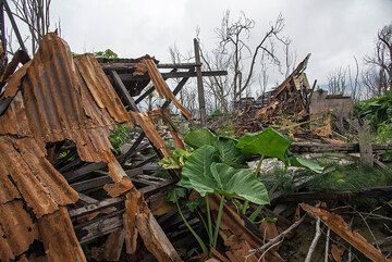 Structures and roofs with corrugated sheet metal had little chance to survive the pyroclastic flow surge. (Photo: Tom Pfeiffer)