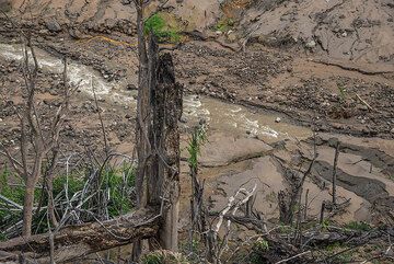 Water erosion quickly reworks the pyroclastic deposits, carving a new river bed into them. (Photo: Tom Pfeiffer)