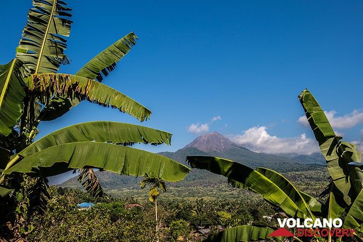 Der Vulkan Lewotobi Lakilaki („Ehemann“) im Osten von Flores, gesehen auf dem Weg nach Larantuka. (Photo: Tom Pfeiffer)
