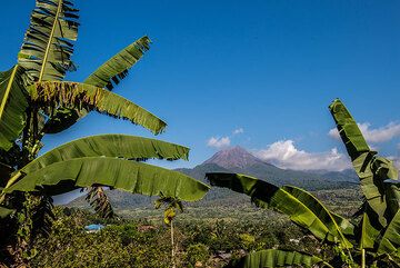 Lewotobi Lakilaki ("husband") volcano in eastern Flores seen on the way to Larantuka. (Photo: Tom Pfeiffer)