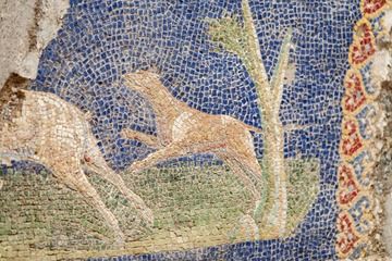 A beautiful wall mosaic in Herculaneum. (Photo: Tobias Schorr)