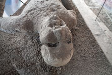 A close up of one of the victims of the eruption of Vesuvius volcano. (Photo: Tobias Schorr)